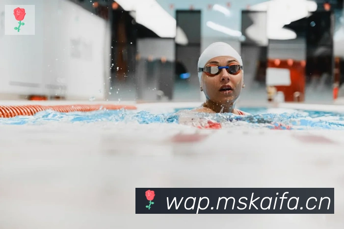 开云官方手机网页版发展历程