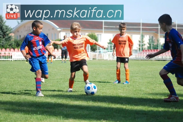 开云官方手机网页版APP 封面图