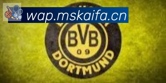 开云官方手机网页版合作伙伴