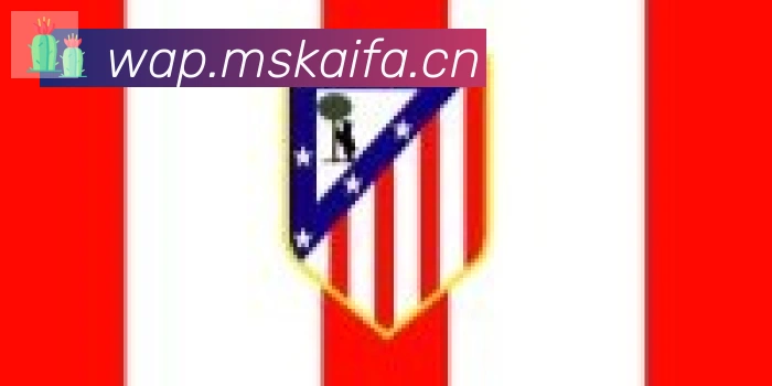 开云官方手机网页版合作伙伴